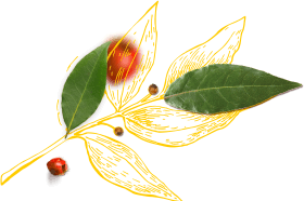 Decoration leaf
