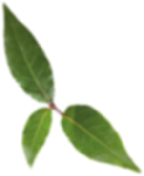 Decoration leaf