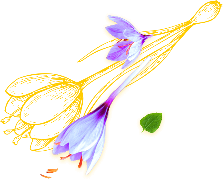 Decoration