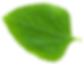 Leaf decoration